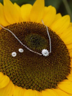 PURELEI Sets<Mahina Club Blooming