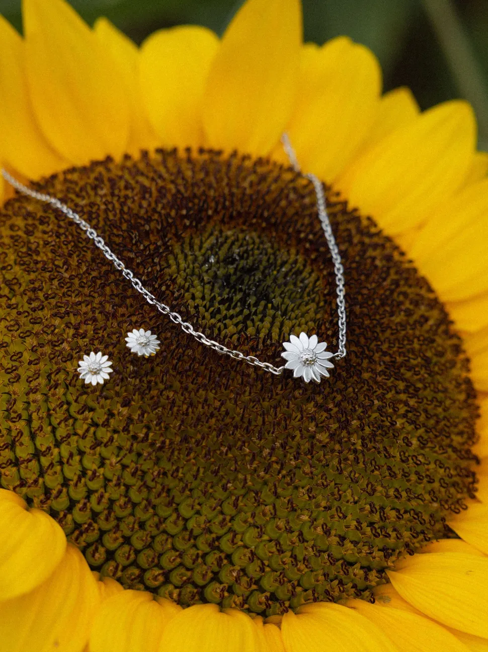 PURELEI Sets<Mahina Club Blooming