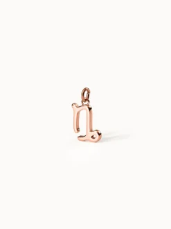 PURELEI Charms<Steinbock Zodiac Charm