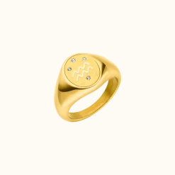 PURELEI Ringe<Wassermann Zodiac Ring